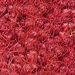 Red: 3/4" Thick